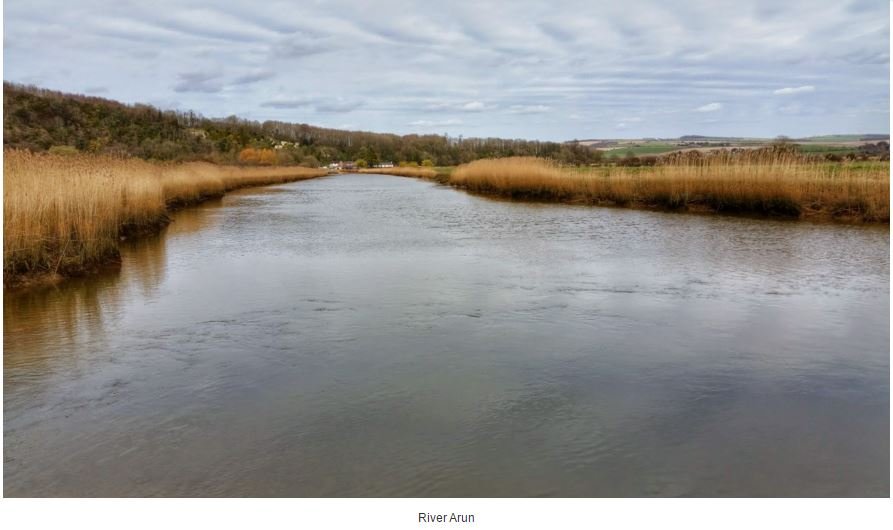 the river ARUN 2 - Malcolm Oakley